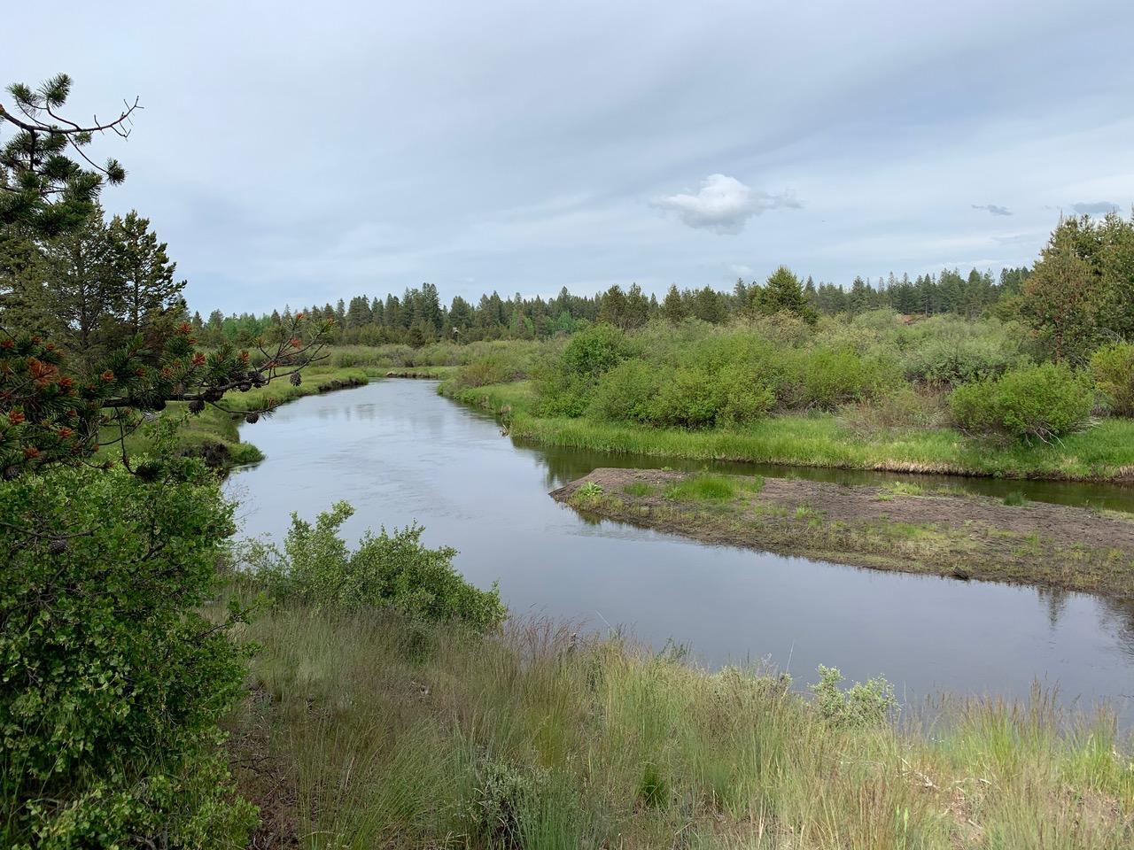 55855 Hashknife Road Bend, OR 97707 - Photo 7 of 14 IMG_7585