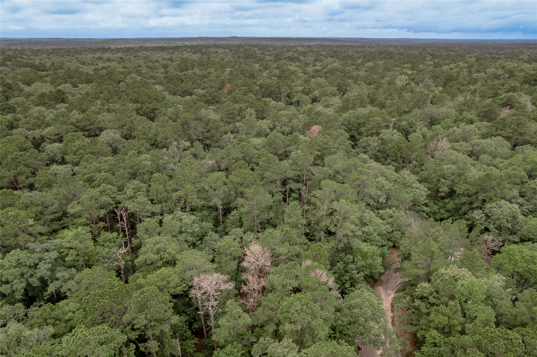 Lot 9 Rohm Place Point Blank, TX 77364 - Photo 12 of 26