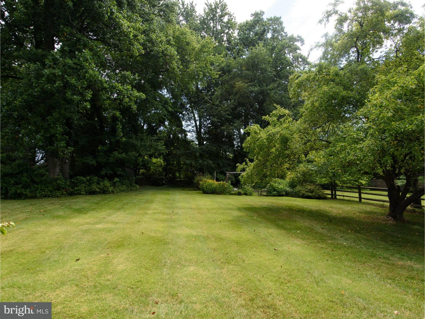 365 Old Eagle School Road Wayne, PA 19087 - Photo 19 of 19 Back Yard