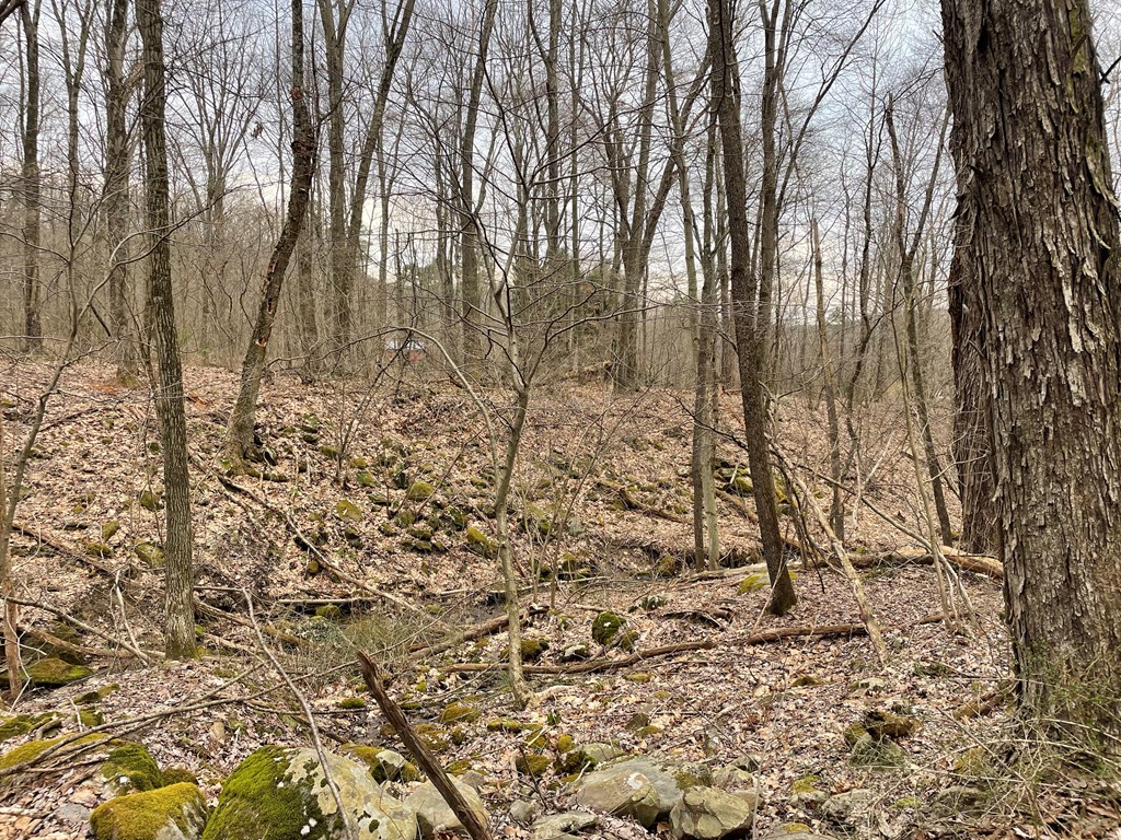 350 Masterson Road Oil City, PA 16301 - Photo 20 of 24