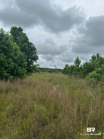 $270,000 | 0 East County Road 214, Selma, AL 36701