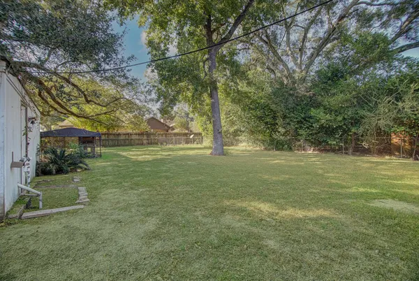 a view of a trees in a yard