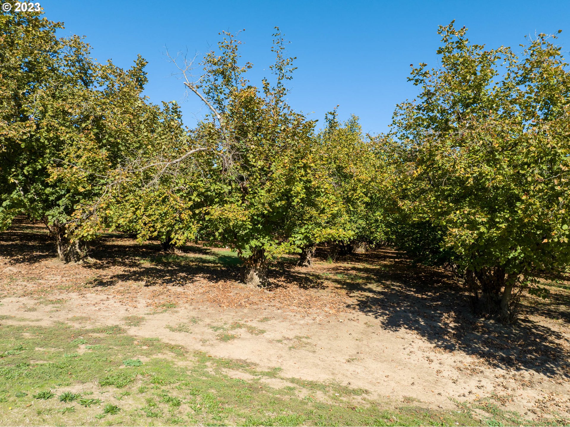 Northwest Hillside Road Forest Grove, OR 97116 - Photo 24 of 30 Gallery Image 24