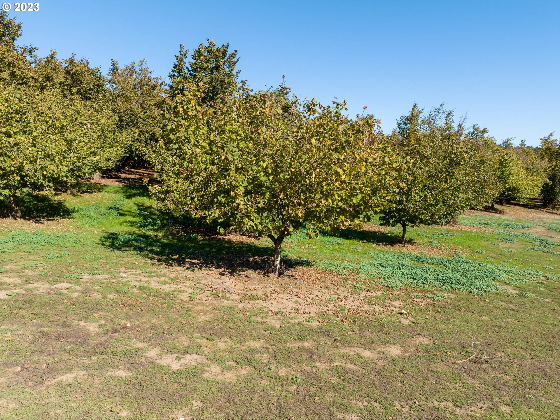 Northwest Hillside Road Forest Grove, OR 97116 - Photo 28 of 30 Gallery Image 28