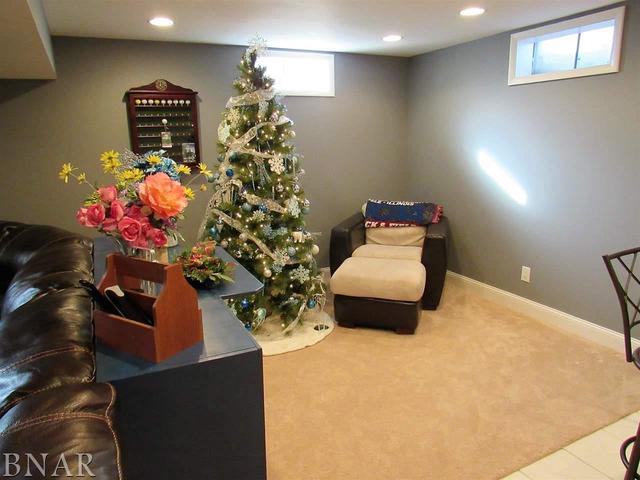 9607 Violet Valley Road Clinton, IL 61727 - Photo 26 of 30 Gallery Image 26