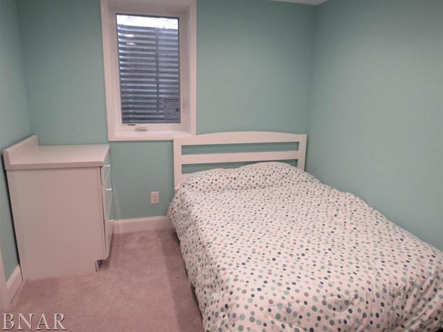 9607 Violet Valley Road Clinton, IL 61727 - Photo 28 of 30 Gallery Image 28