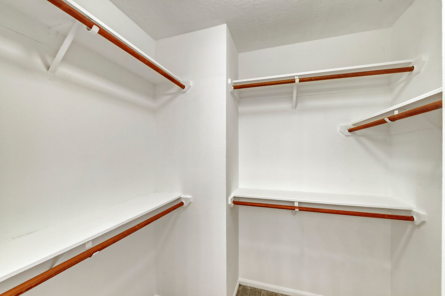 3514 Appalachian Trail Houston, TX 77345 - Photo 9 of 14 Primary Walk-in Closet