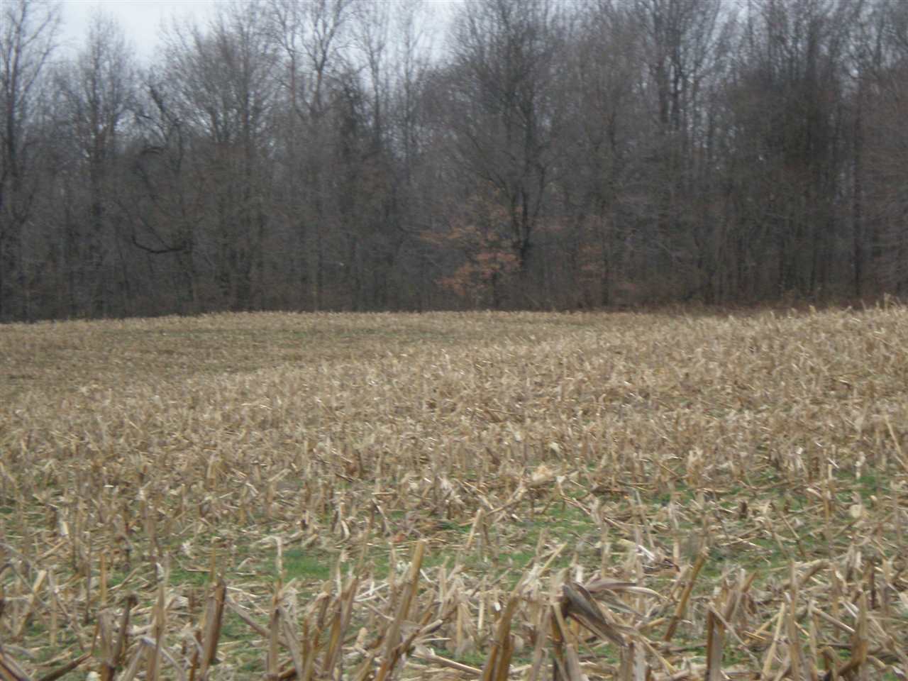 2320 Carithers Road Princeton, IN 47670 - Photo 1 of 2