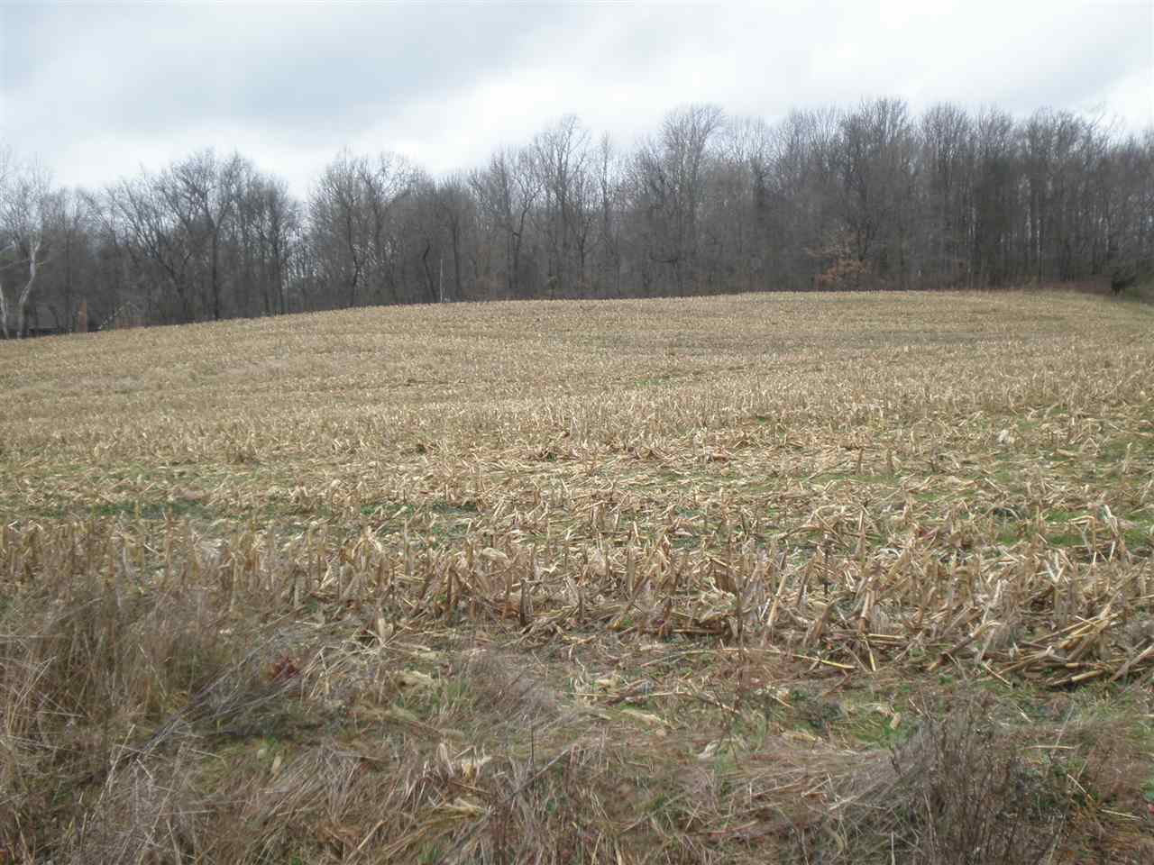 2320 Carithers Road Princeton, IN 47670 - Photo 2 of 2
