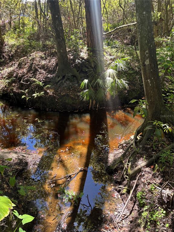 7265 Beach Road Elkton, FL 32033 - Photo 59 of 61