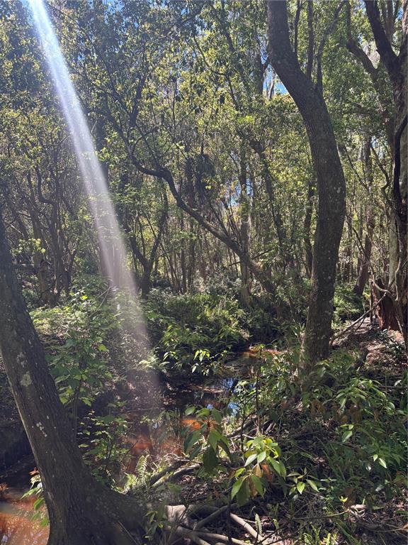 7265 Beach Road Elkton, FL 32033 - Photo 60 of 61