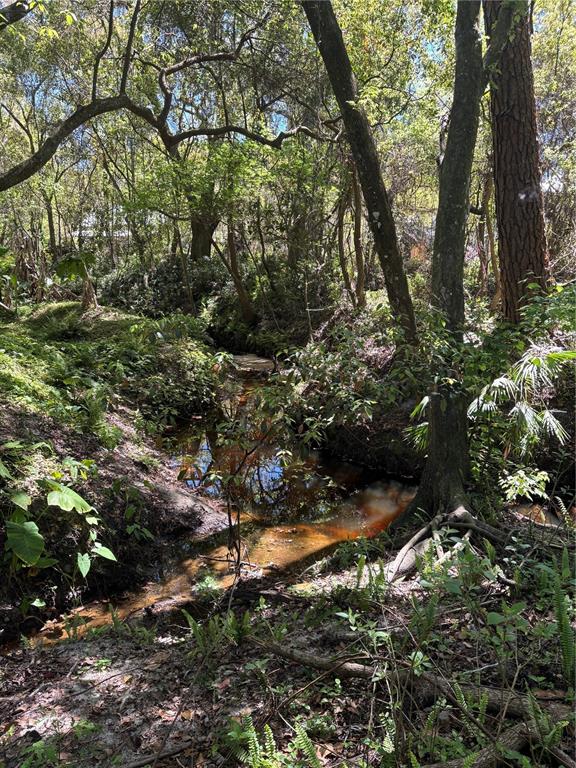 7265 Beach Road Elkton, FL 32033 - Photo 61 of 61