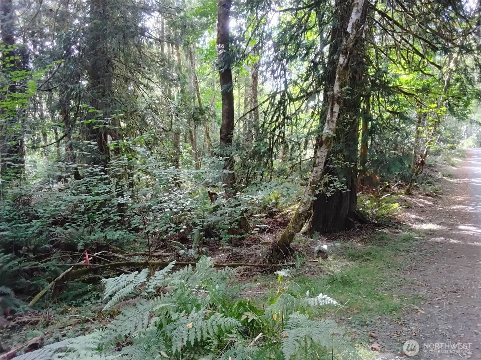 0 East Frontier Road Grapeview, WA 98546 - Photo 28 of 35 Gallery Image 28