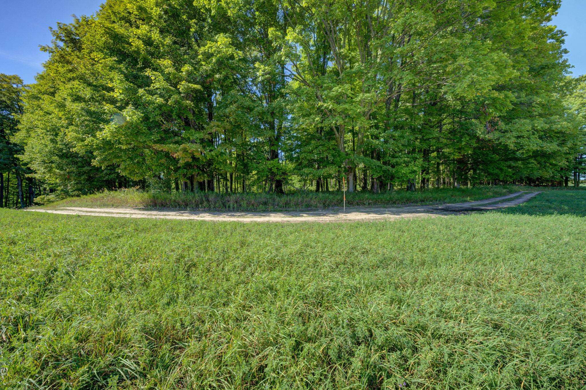 3483 Kiessel Road Central Lake, MI 49622 - Photo 12 of 52 1950663-d6ed1f44-b6f2-4a0b-8a6a-4d0012cc47f6.JPG