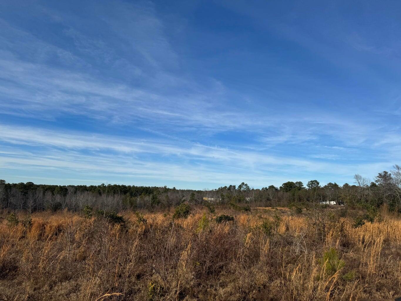 450 Bergen Road North Augusta, SC 29860 - Photo 8 of 9 20260113162522444457000000-o