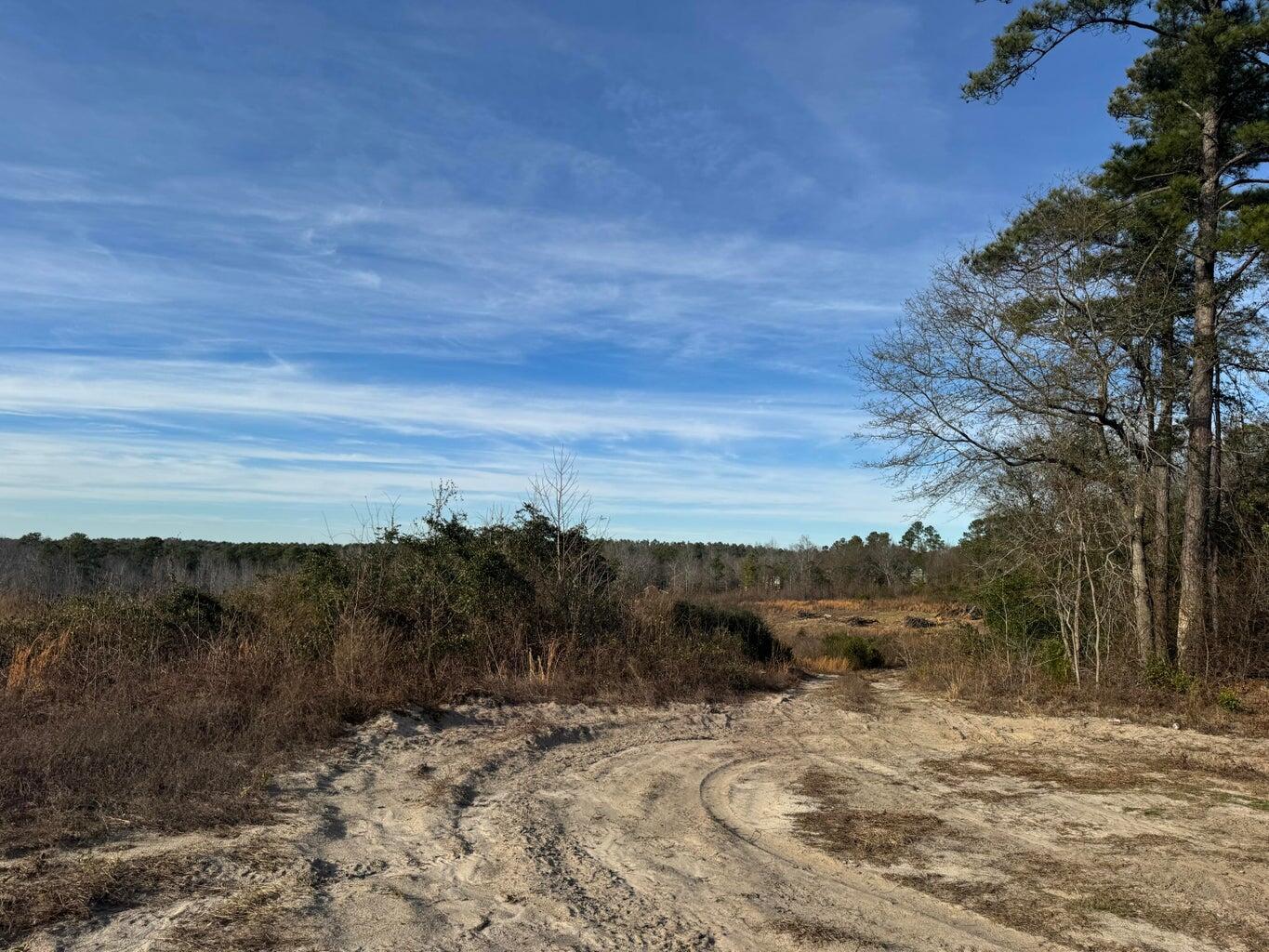 450 Bergen Road North Augusta, SC 29860 - Photo 9 of 9 20260113162528724022000000-o