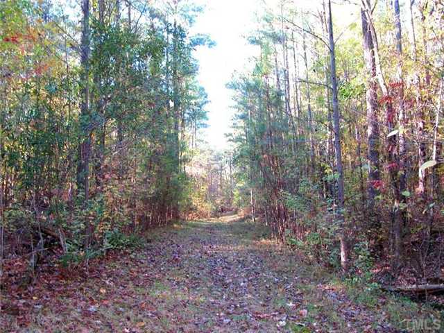 5801 Orchid Valley Road Raleigh, NC 27613 - Photo 24 of 25 a view of a forest that has large trees