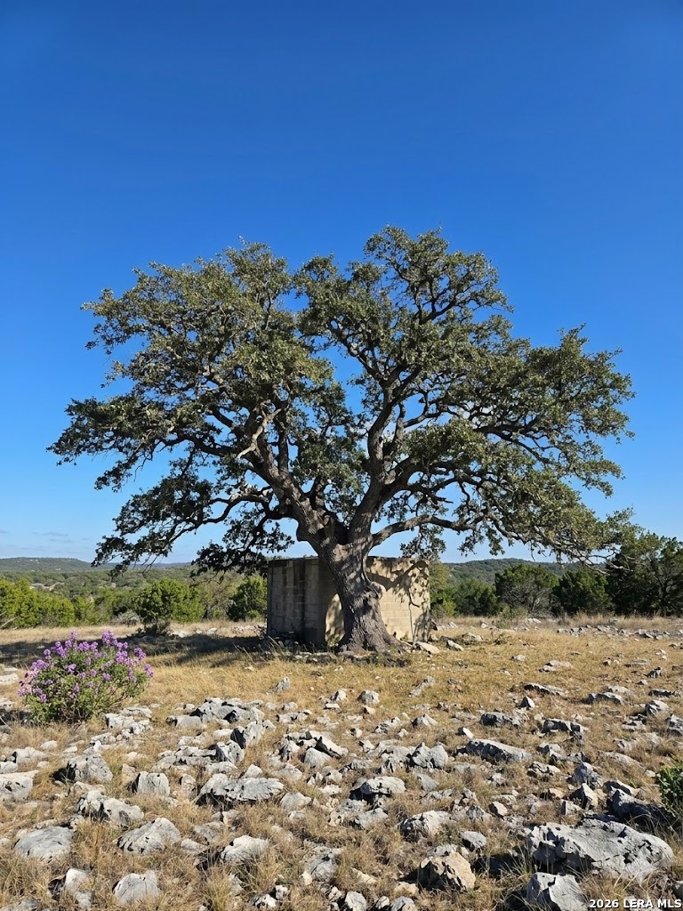 1518 Sd 54500 Rocksprings, TX 78880 - Photo 3 of 21