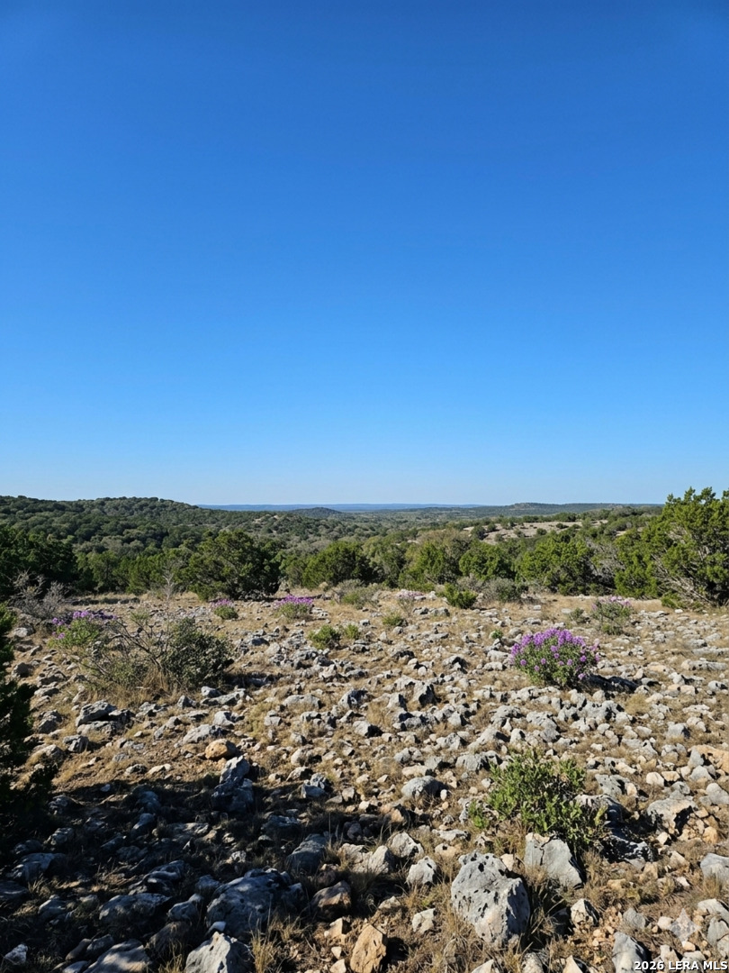 1518 Sd 54500 Rocksprings, TX 78880 - Photo 4 of 21
