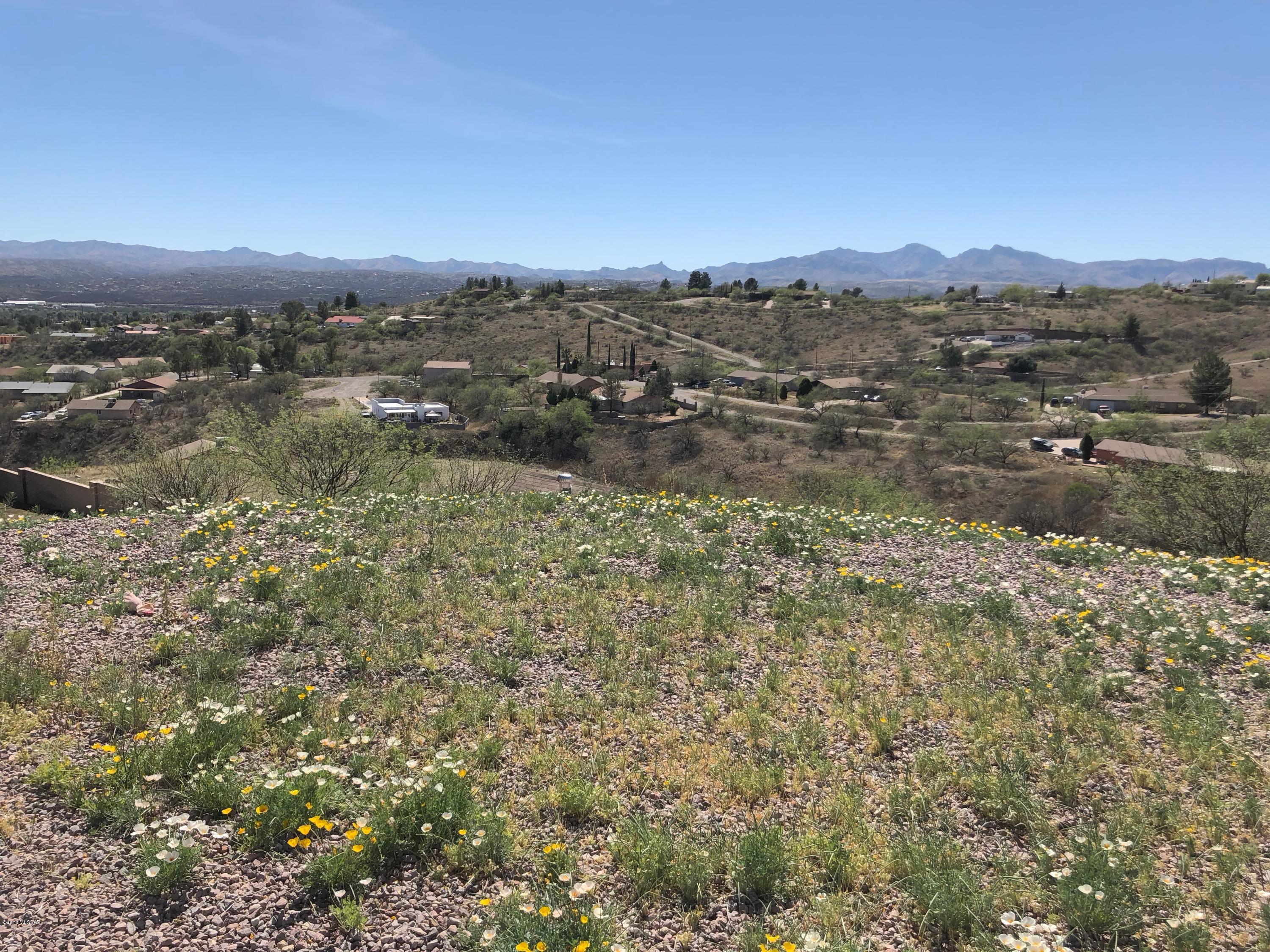 1224 Avenida Gloriosa Rio Rico, AZ 85648 - Photo 42 of 50