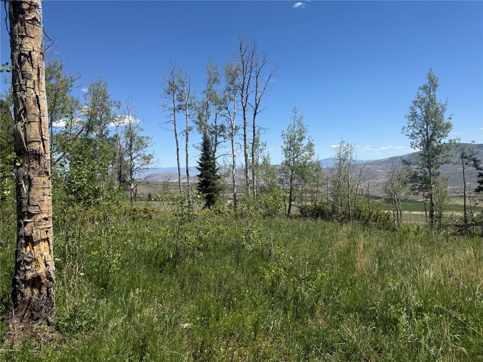 Tbd Spring Creek Ranch Road Silverthorne, CO 80498 - Photo 20 of 48