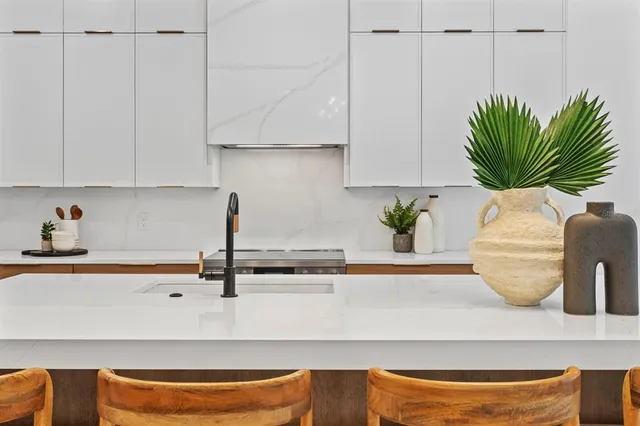 a kitchen with a potted plant on the counter and cabinets