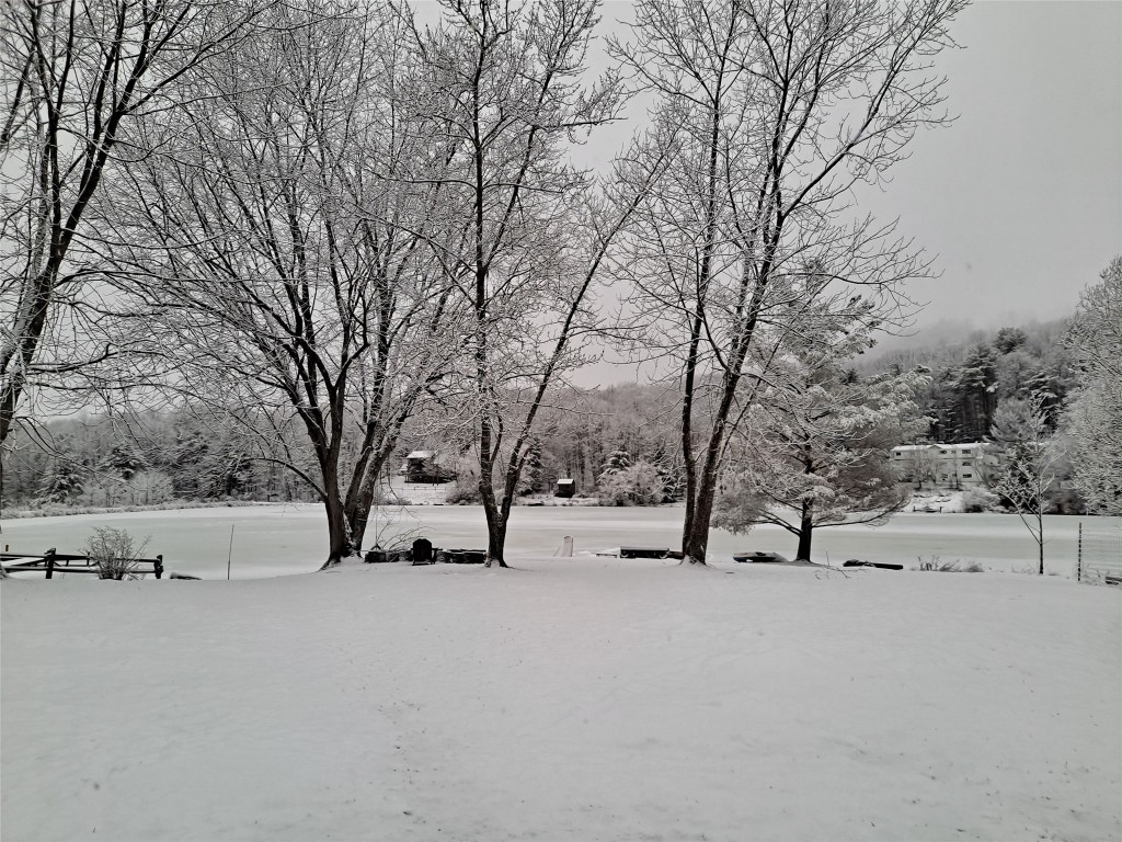 203-211 Twin Lakes Road Brackney, PA 18812 - Photo 44 of 49