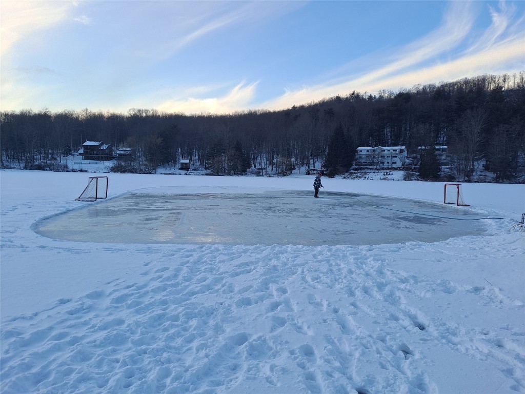 203-211 Twin Lakes Road Brackney, PA 18812 - Photo 45 of 49