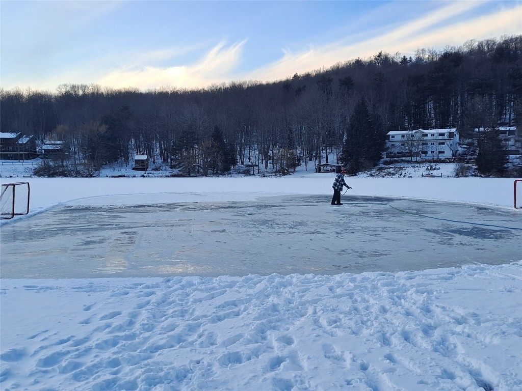 203-211 Twin Lakes Road Brackney, PA 18812 - Photo 46 of 49