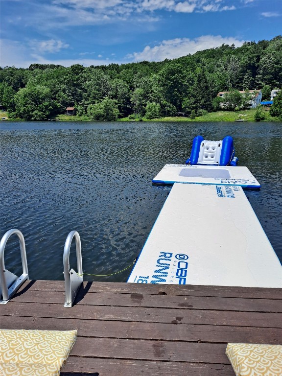 203-211 Twin Lakes Road Brackney, PA 18812 - Photo 47 of 49