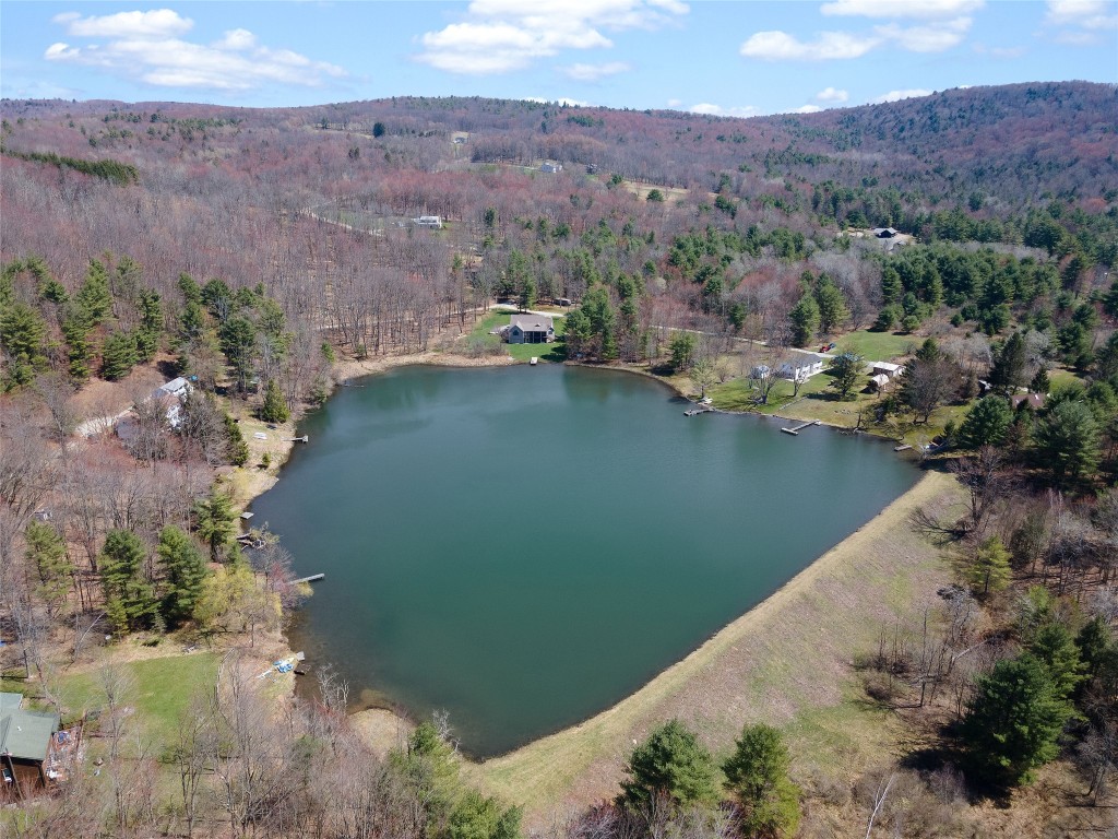 203-211 Twin Lakes Road Brackney, PA 18812 - Photo 8 of 49