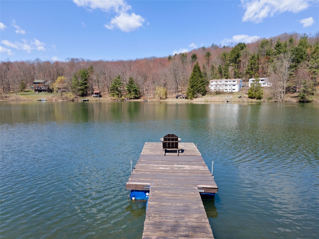 203-211 Twin Lakes Road Brackney, PA 18812 - Photo 10 of 49