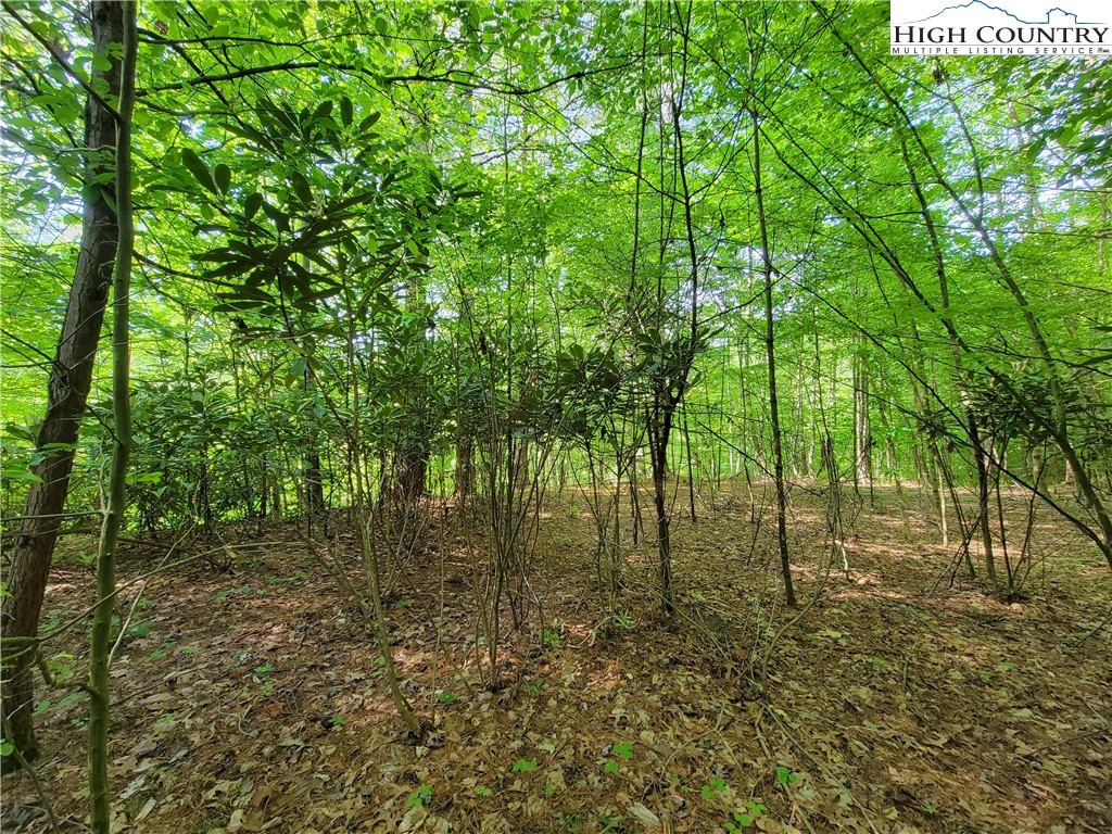 Lot 7-8 Smithey Road Crumpler, NC 28617 - Photo 3 of 7 Gallery Image 3