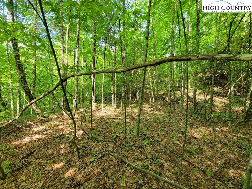 Lot 7-8 Smithey Road Crumpler, NC 28617 - Photo 4 of 7 Gallery Image 4