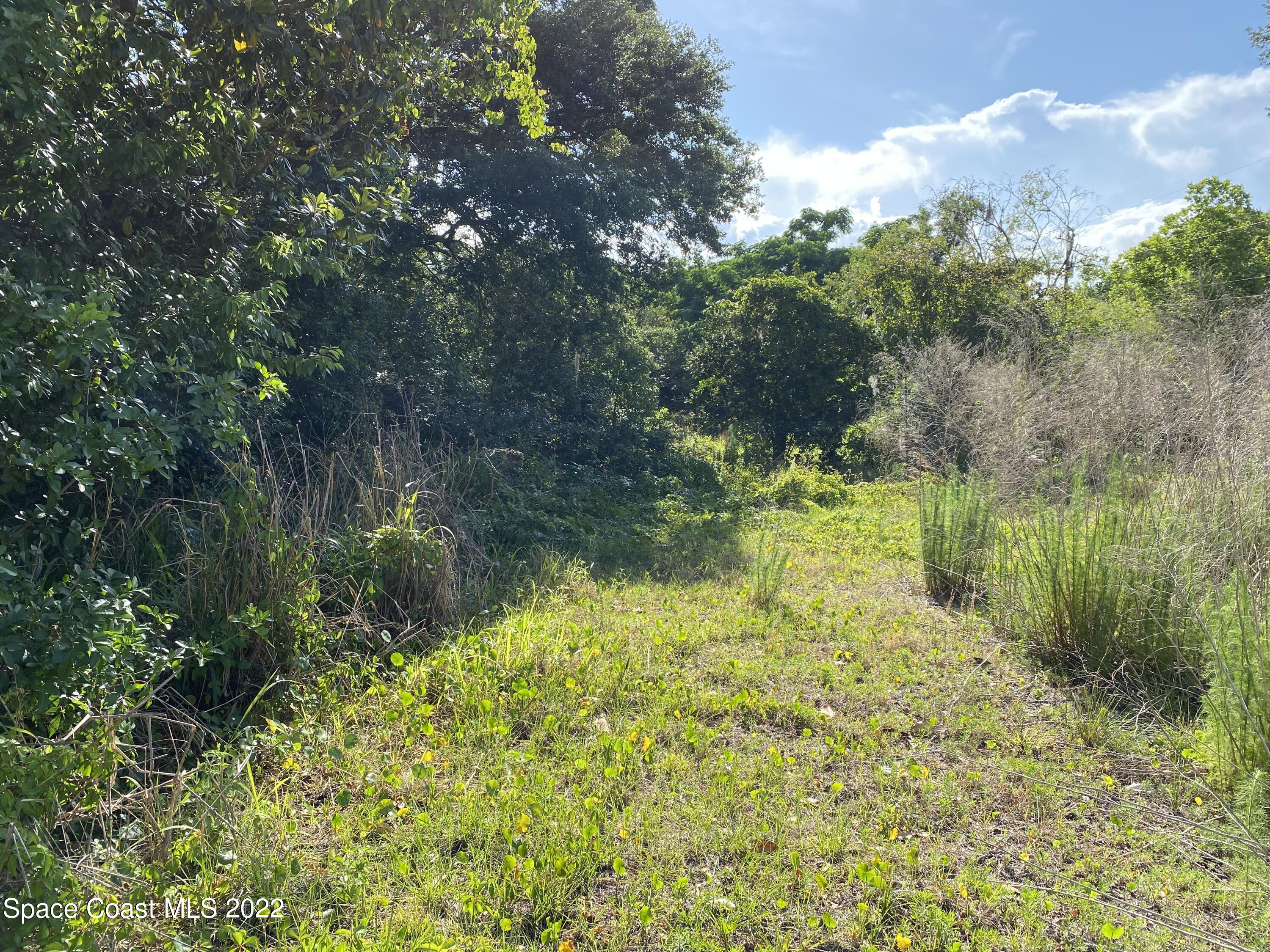 2736 Aein Road Orlando, FL 32817 - Photo 5 of 11 a view of a lake with a forest