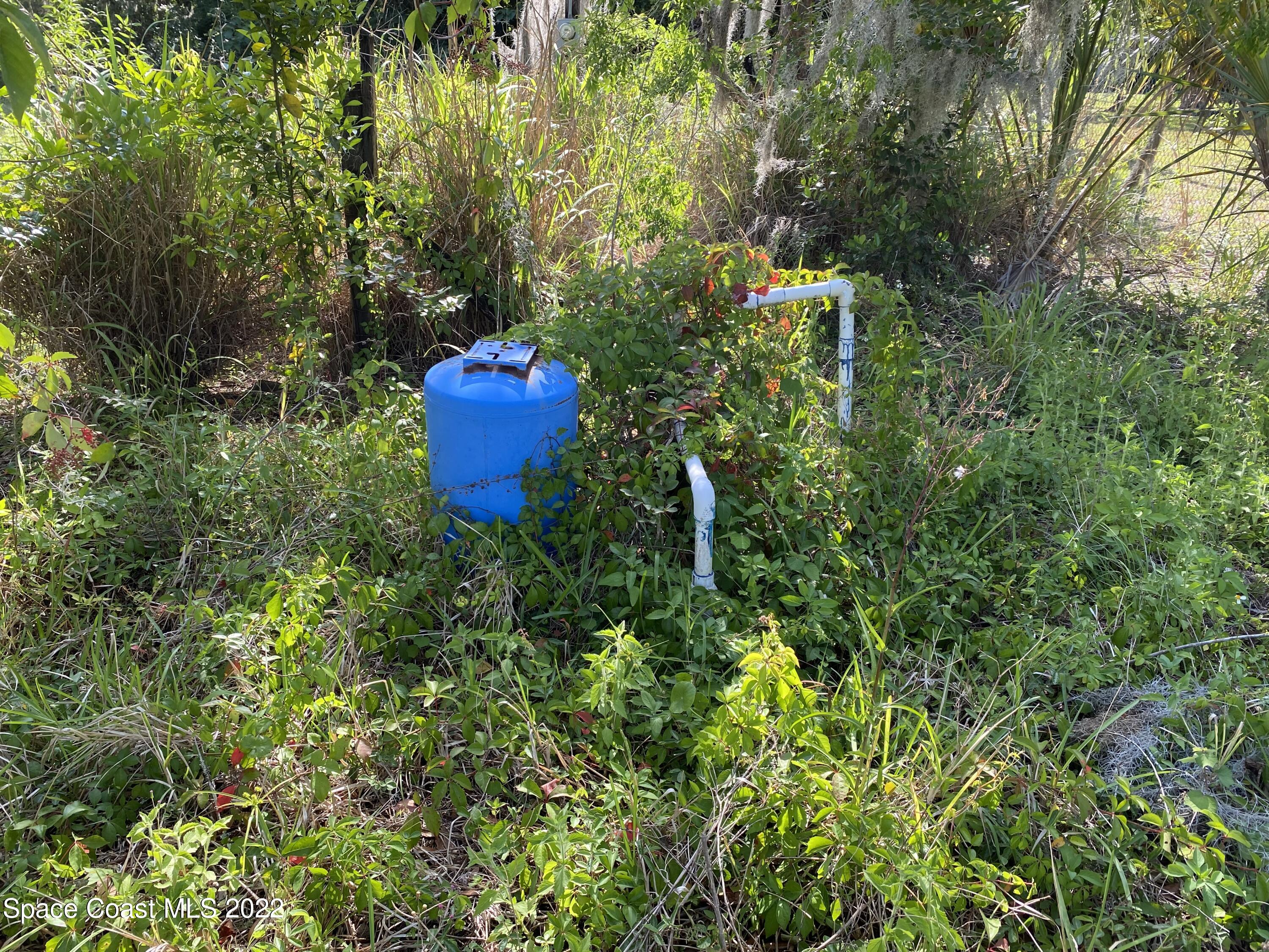 2736 Aein Road Orlando, FL 32817 - Photo 7 of 11 a view of a garden with plants