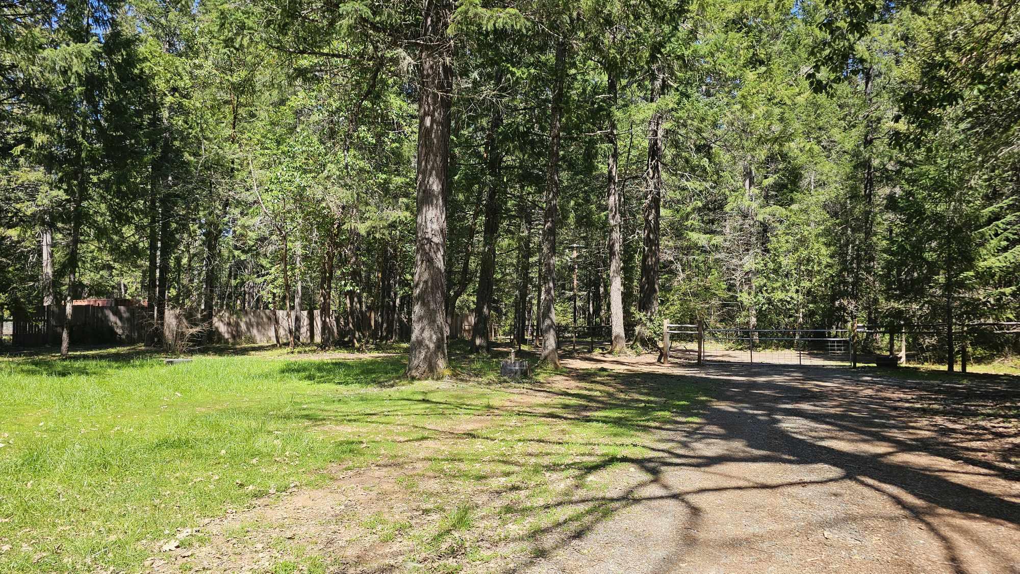 4320 Thompson Creek Road Selma, OR 97538 - Photo 27 of 33 393 27