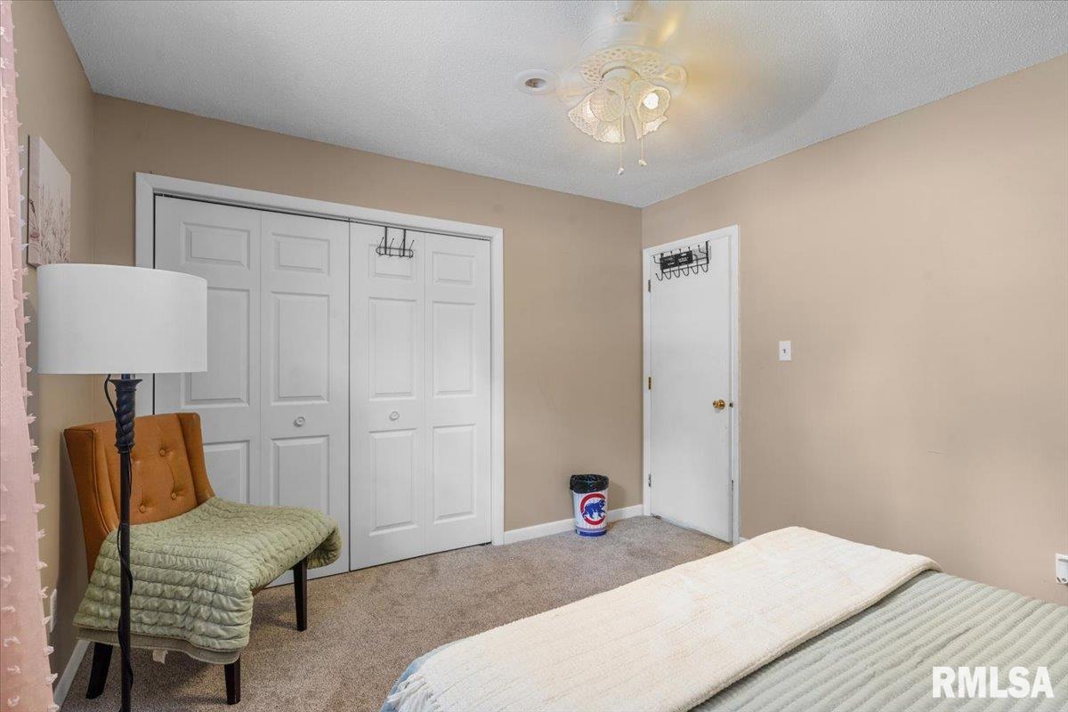 5260 River View Road Riverton, IL 62561 - Photo 14 of 34