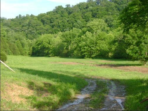 10 Groce Gibson Road Albany, KY 42602 - Photo 3 of 3 Additional Photo