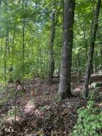 521 Robert Norris Road Roxboro, NC 27574 - Photo 16 of 20 Robert Norris