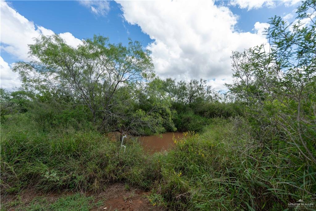 220 Delmita Road Delmita, TX 78536 - Photo 33 of 33 an aerial view of residential house with outdoor space and trees around