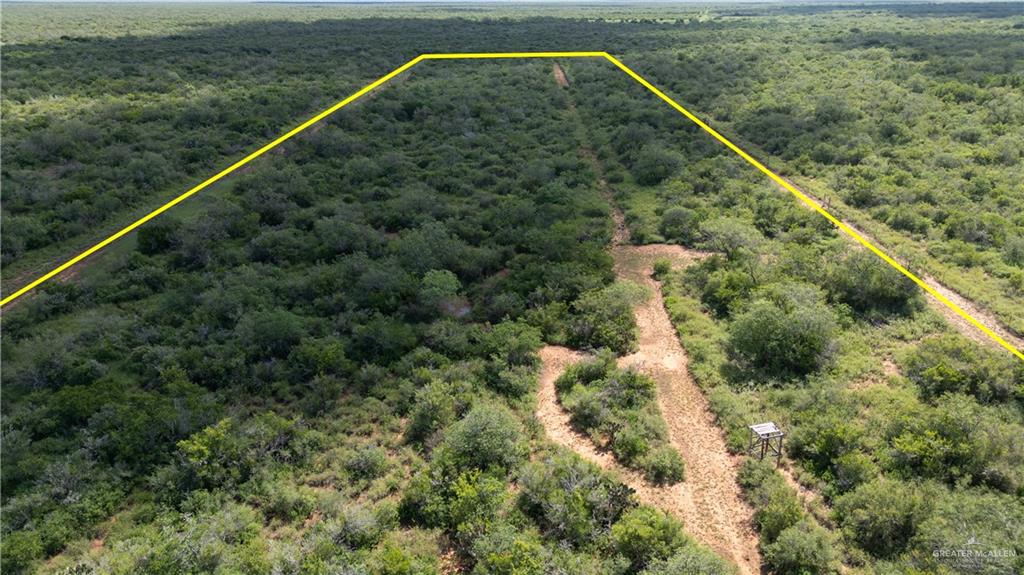 220 Delmita Road Delmita, TX 78536 - Photo 4 of 33 a aerial view of a house with a yard and large trees