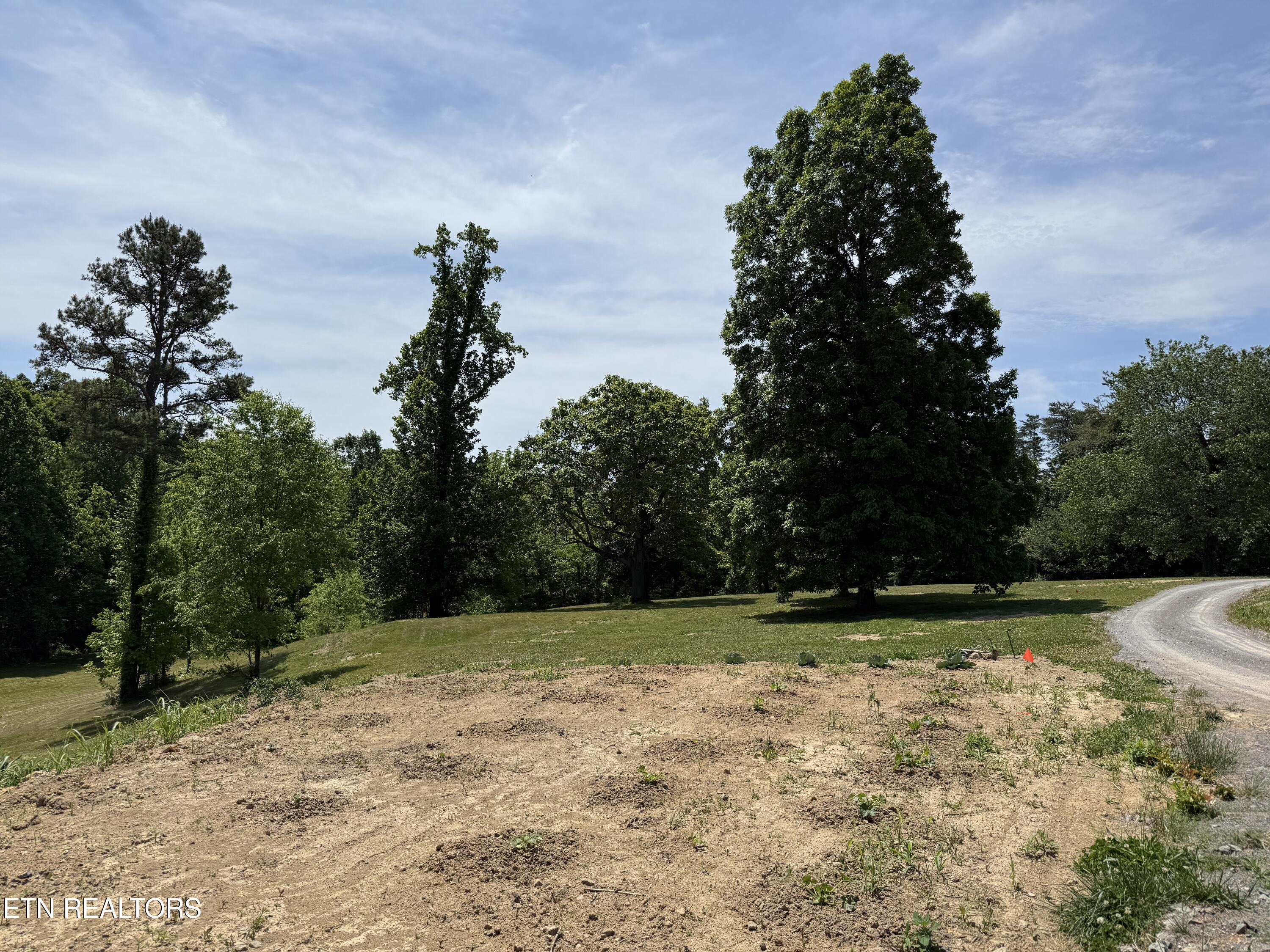 Richland Road Blaine, TN 37709 - Photo 6 of 25 IMG_5450