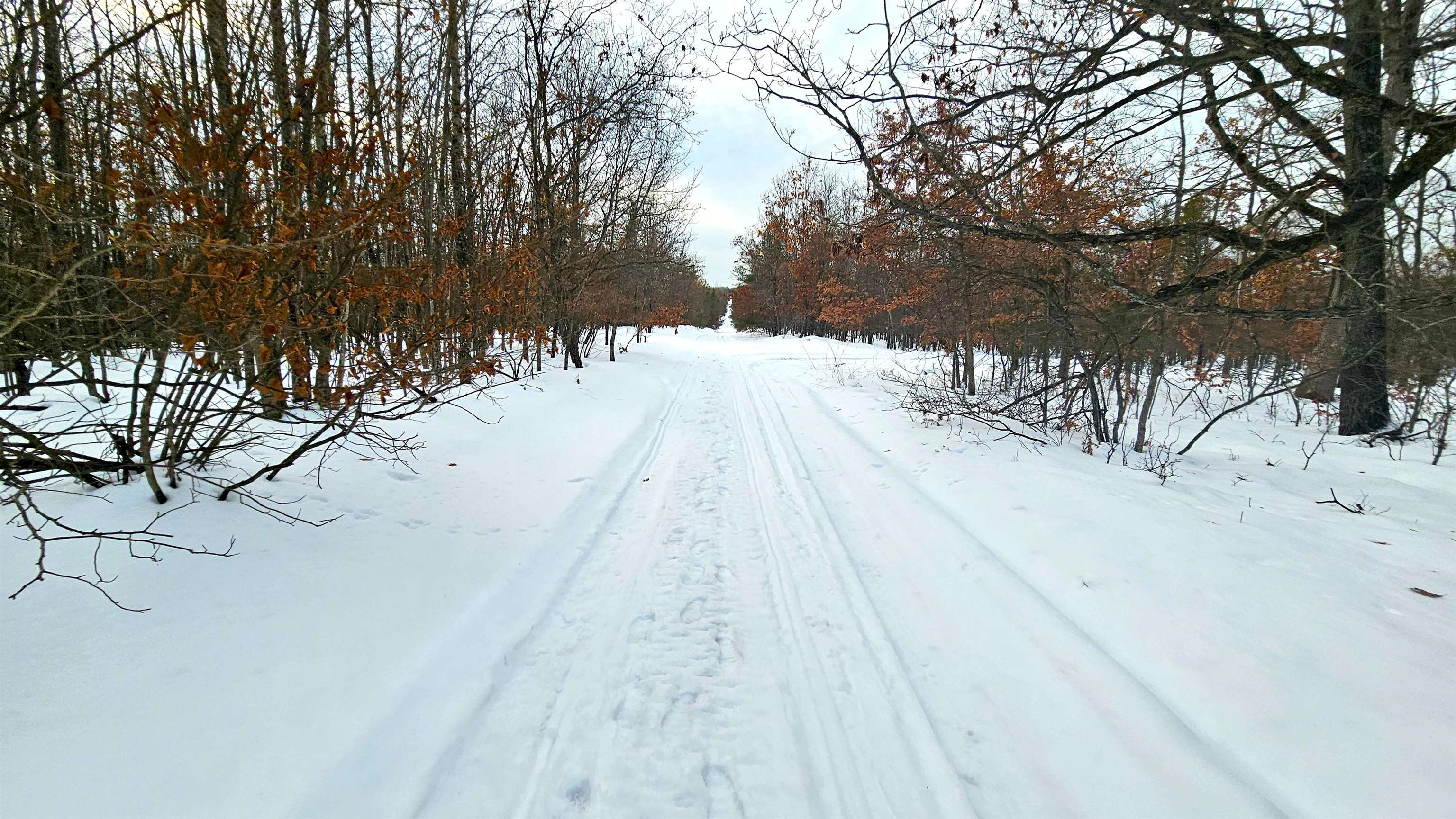 Turney Ranch Trail Branch West Branch, MI 48661 - Photo 7 of 14