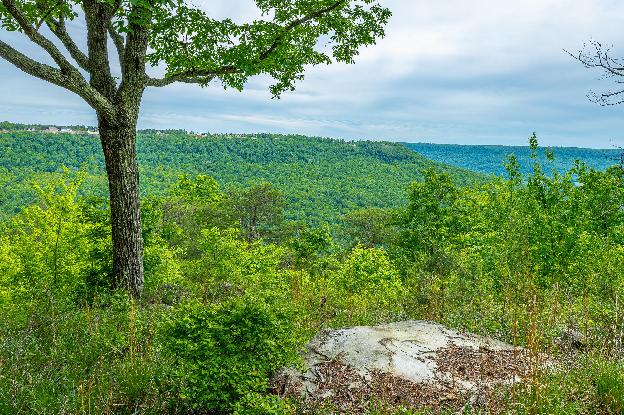 0 Crockett Pointe Point, Unit JF160 Jasper, TN 37347 - Photo 1 of 77 0 Crockett Pointe - JF160 HD-71