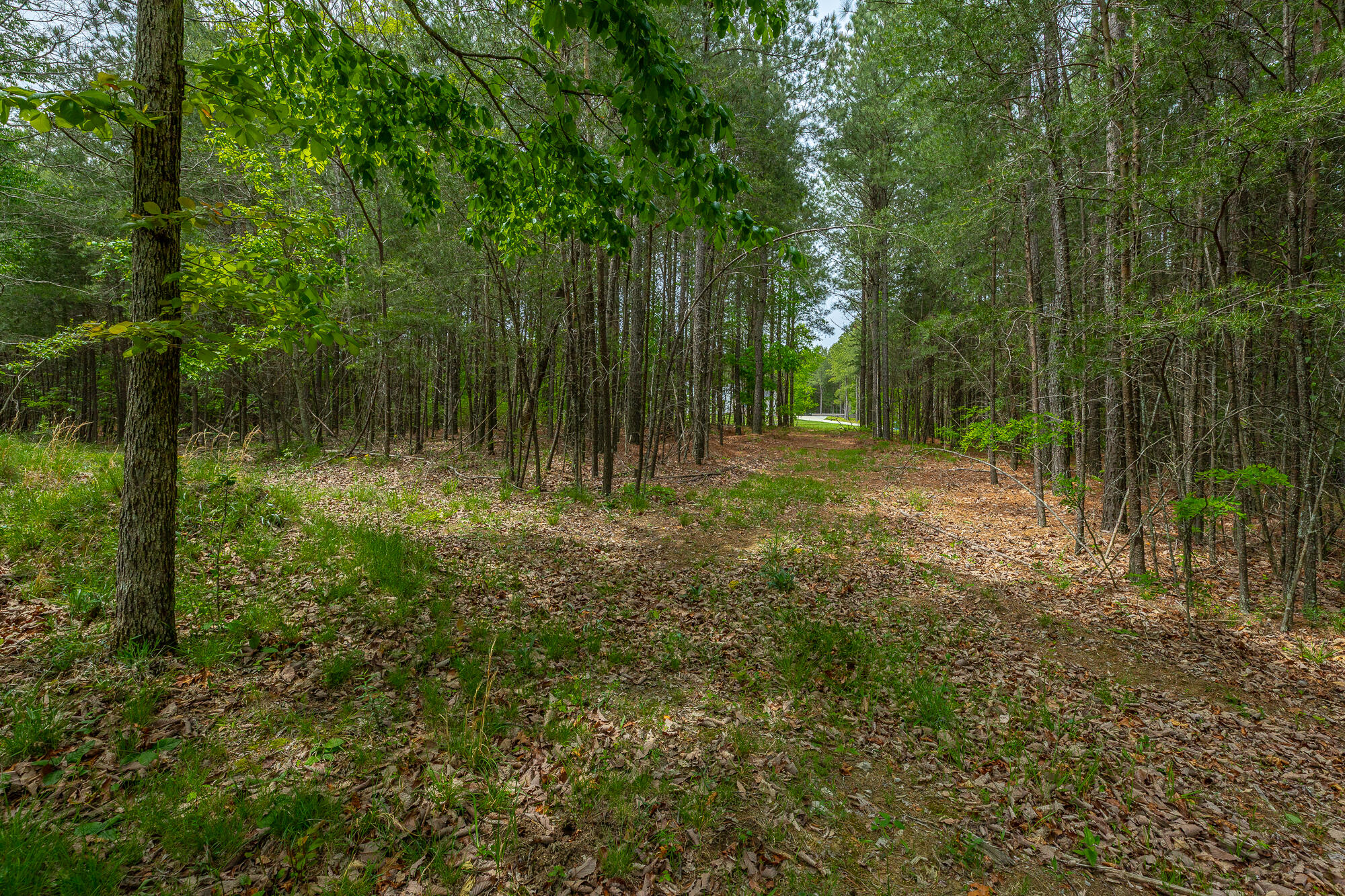0 Crockett Pointe Point, Unit JF160 Jasper, TN 37347 - Photo 11 of 77 0 Crockett Pointe - JF160 HD-66