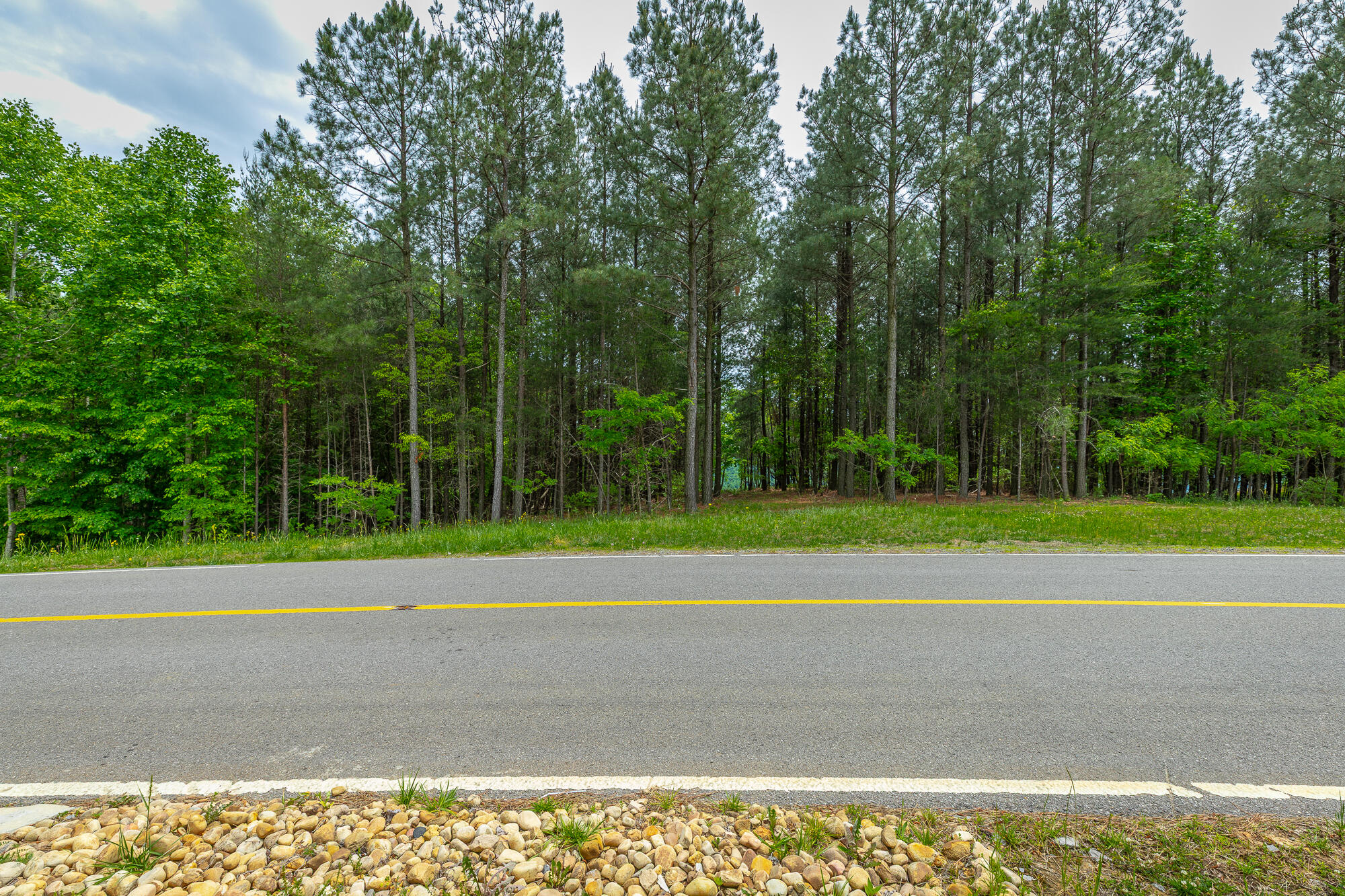 0 Crockett Pointe Point, Unit JF160 Jasper, TN 37347 - Photo 12 of 77 0 Crockett Pointe - JF160 HD-53