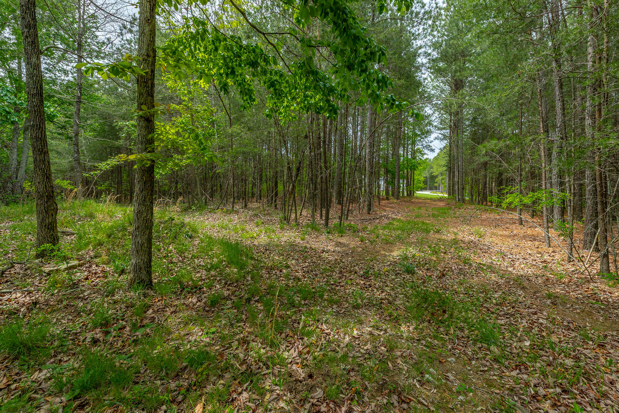 0 Crockett Pointe Point, Unit JF160 Jasper, TN 37347 - Photo 13 of 77 0 Crockett Pointe - JF160 HD-67