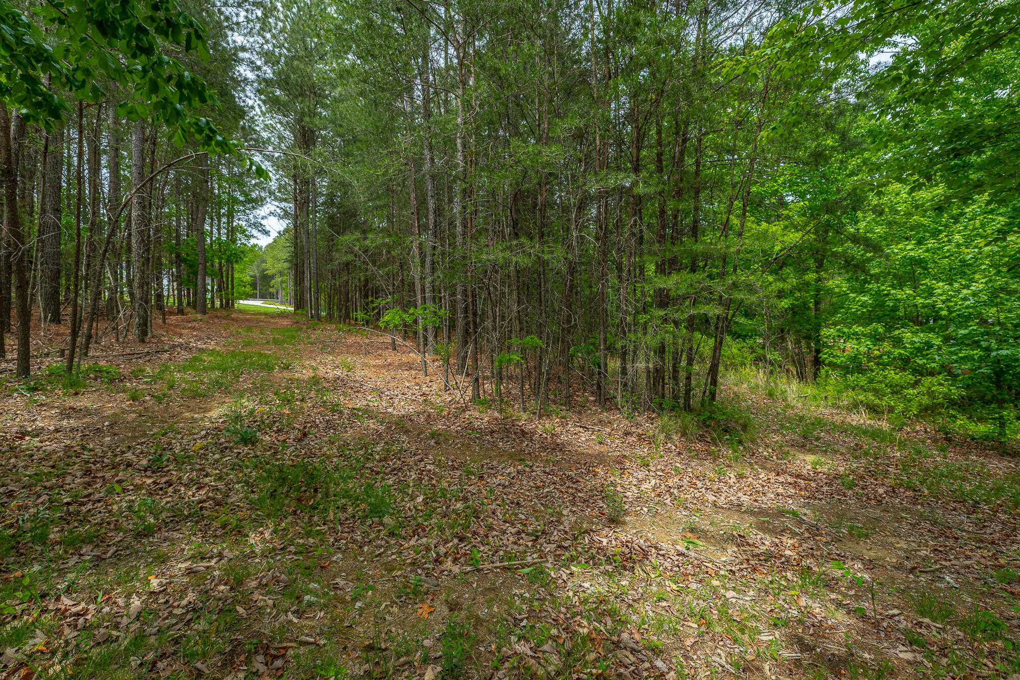 0 Crockett Pointe Point, Unit JF160 Jasper, TN 37347 - Photo 14 of 77 0 Crockett Pointe - JF160 HD-65
