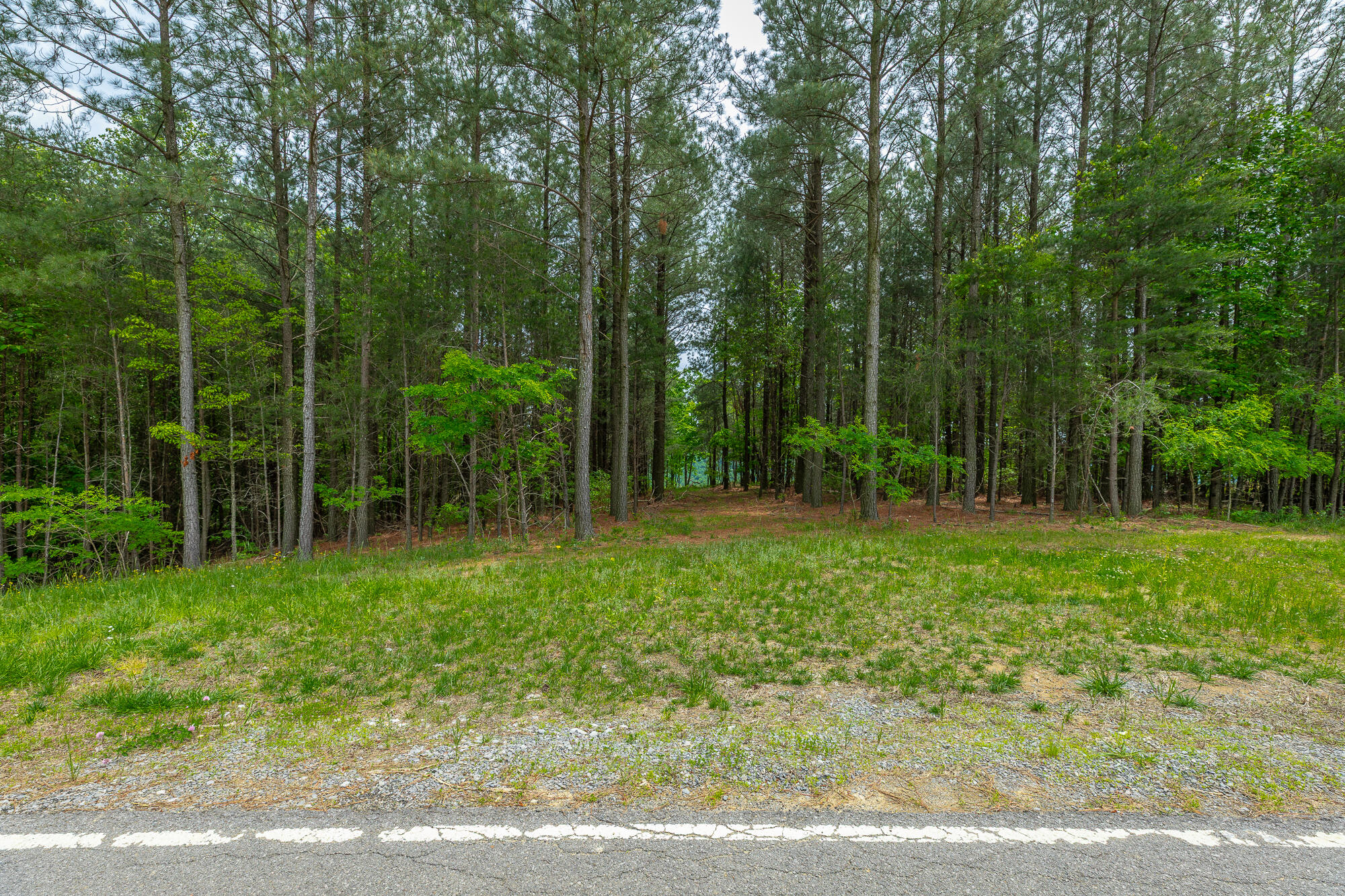 0 Crockett Pointe Point, Unit JF160 Jasper, TN 37347 - Photo 15 of 77 0 Crockett Pointe - JF160 HD-55